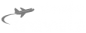 Nizolo Travel logo